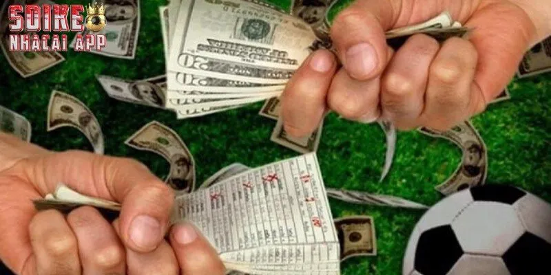 Bỏ túi kinh nghiệm cá cược hữu ích từ cao thủ