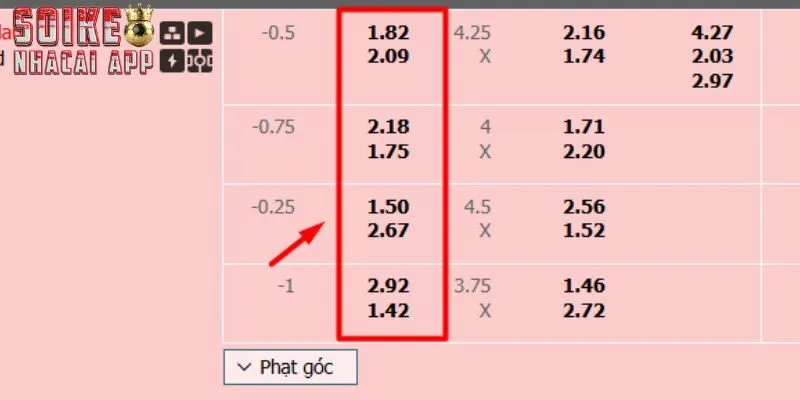 Hiểu về odds để soi được chuẩn xác